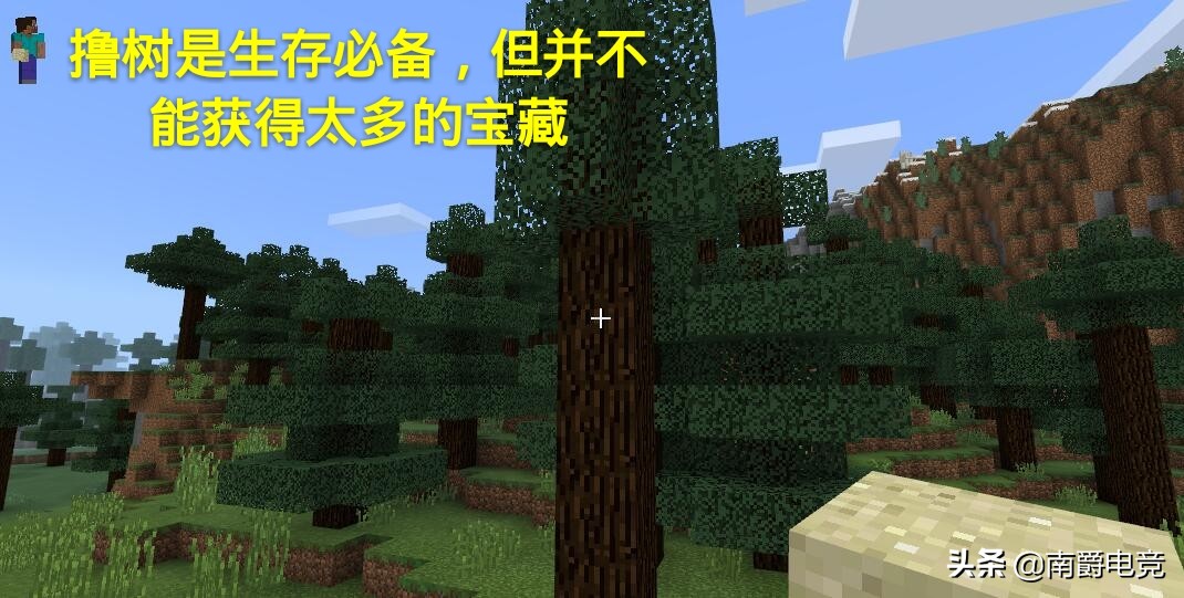 我的世界大神给萌新的五大忠告,我的世界10个令人抓狂的小细节
