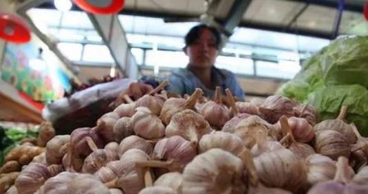 大蒜暴跌的真正原因,大蒜暴涨暴跌采取怎样措施
