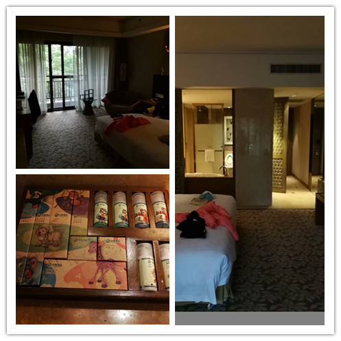 广州长隆海洋王国和珠海海洋王国,广州长隆海洋王国和珠海长隆