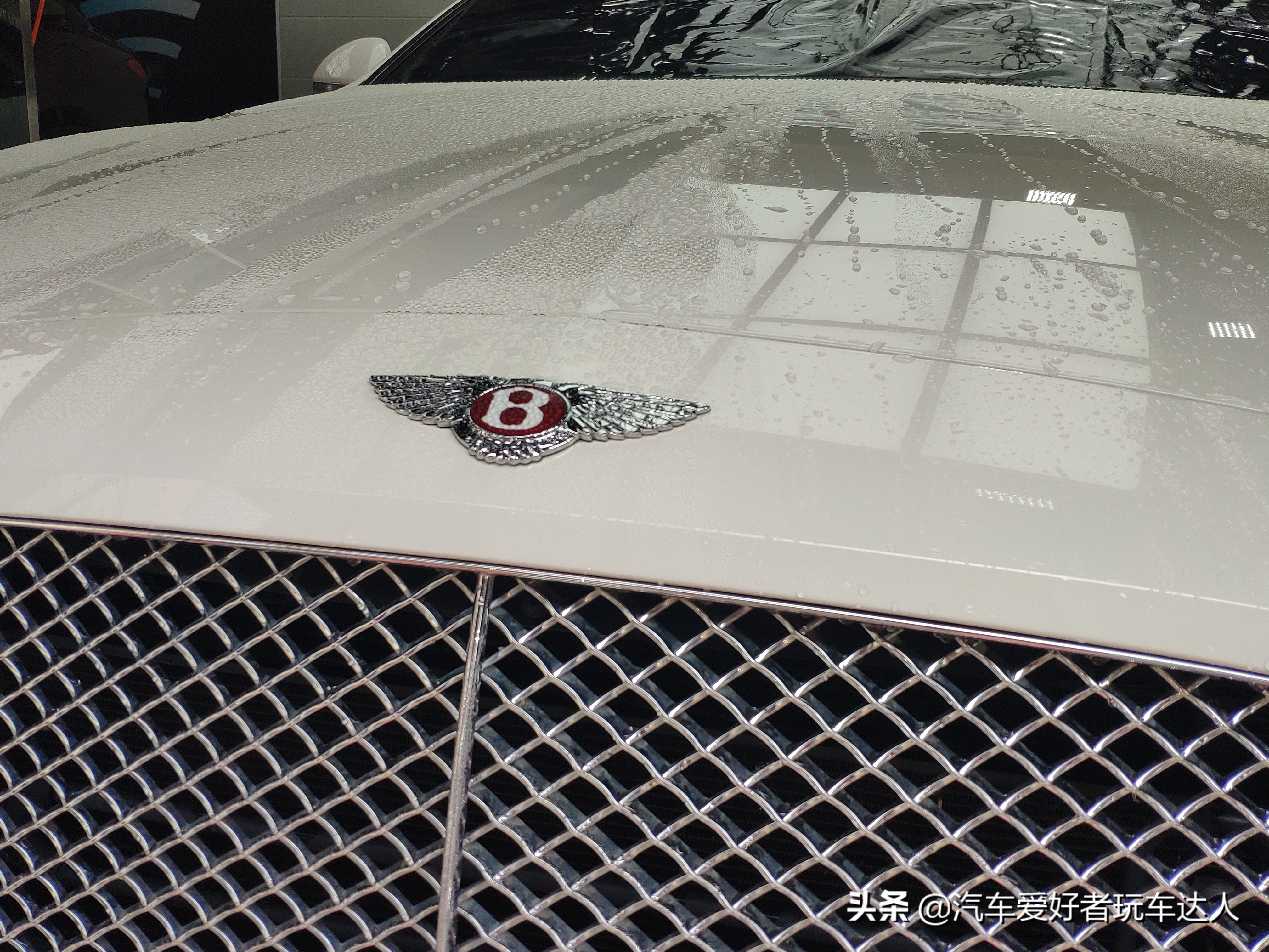 宾利欧陆顶级车衣,宾利欧陆汽车贴膜颜色大全