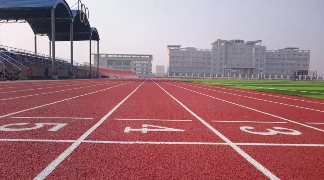 八区足球场,人造草坪足球场鸟瞰图