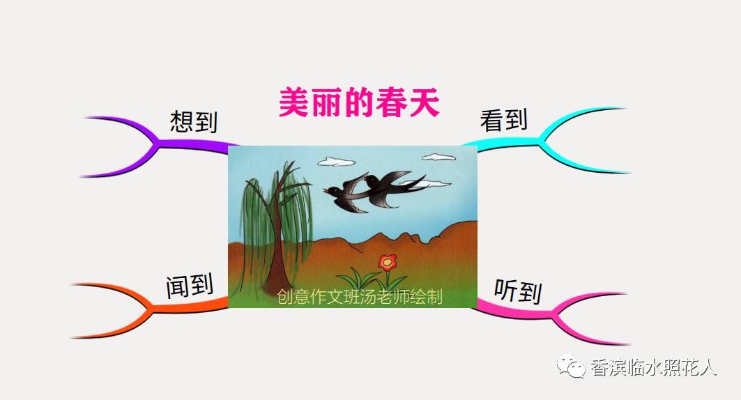美丽的春天作文带有绘画,思维导图关于春天的作文