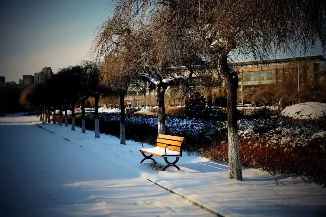 辽宁省普通高等院校（二十五）沈阳工程学院