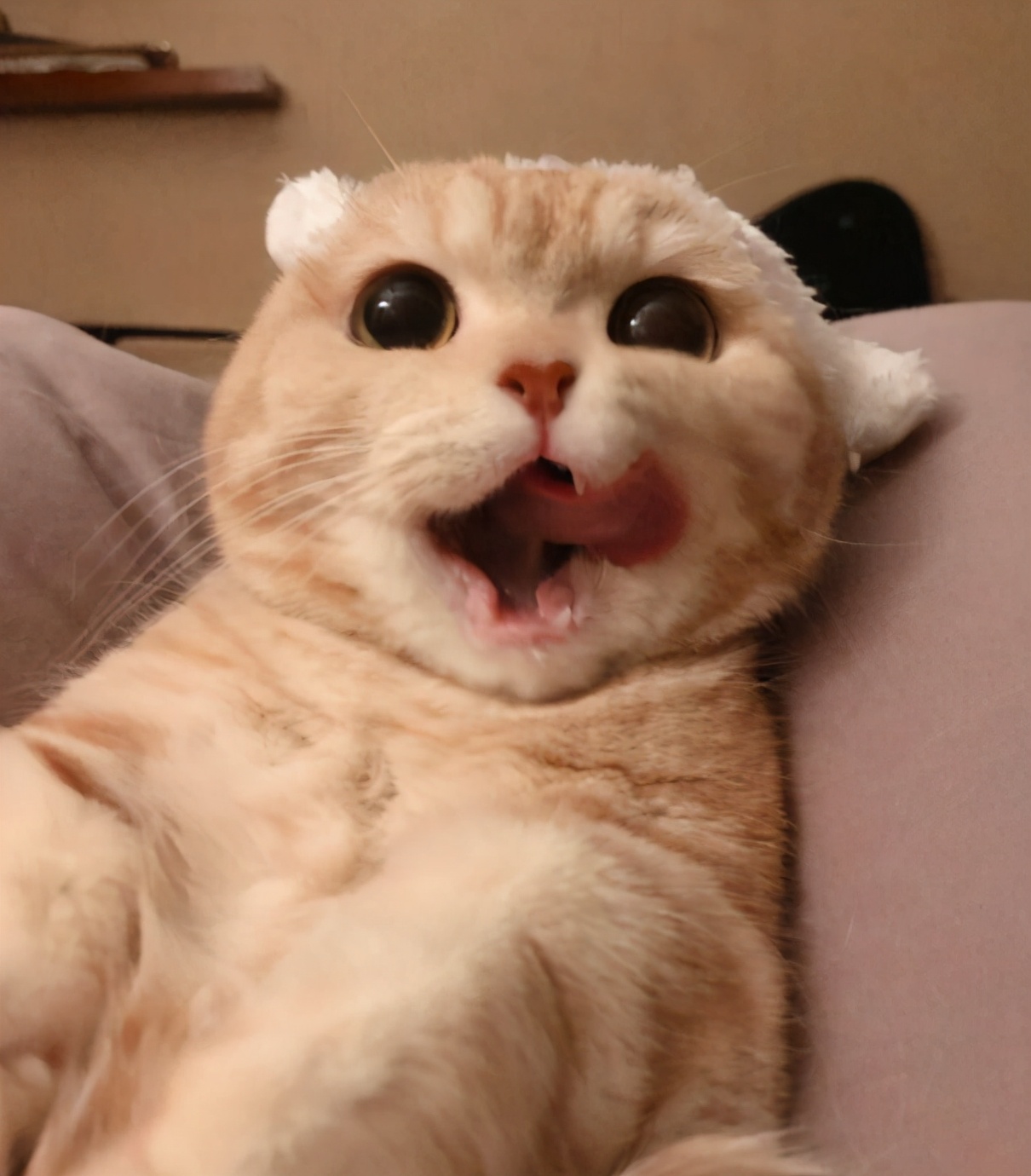 网游线上交易产业链,从交易猫到租号玩,玩家为何“屡教不改”