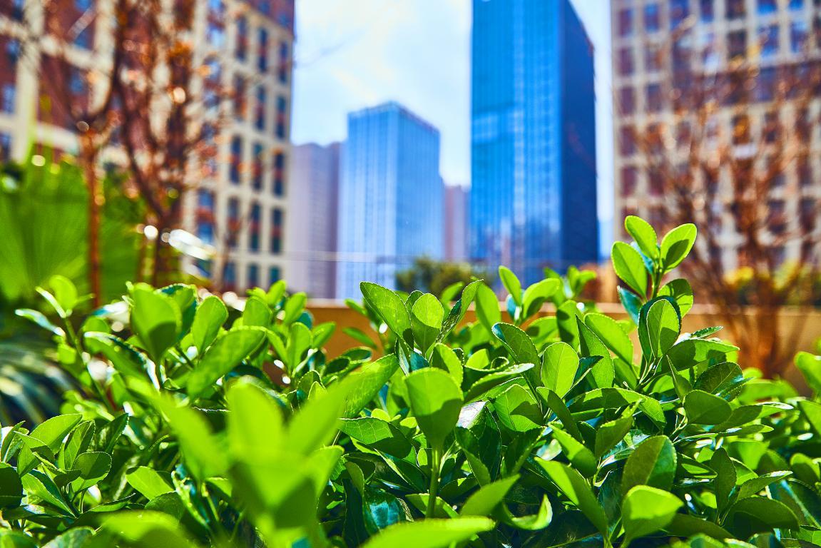 在大理下关生活是什么感觉,大理下关的生活