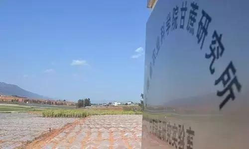 喝红糖驱寒,寒气重喝红糖姜水可以好吗