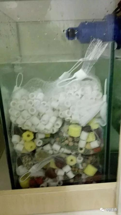 我向媳妇保证，最后一个缸