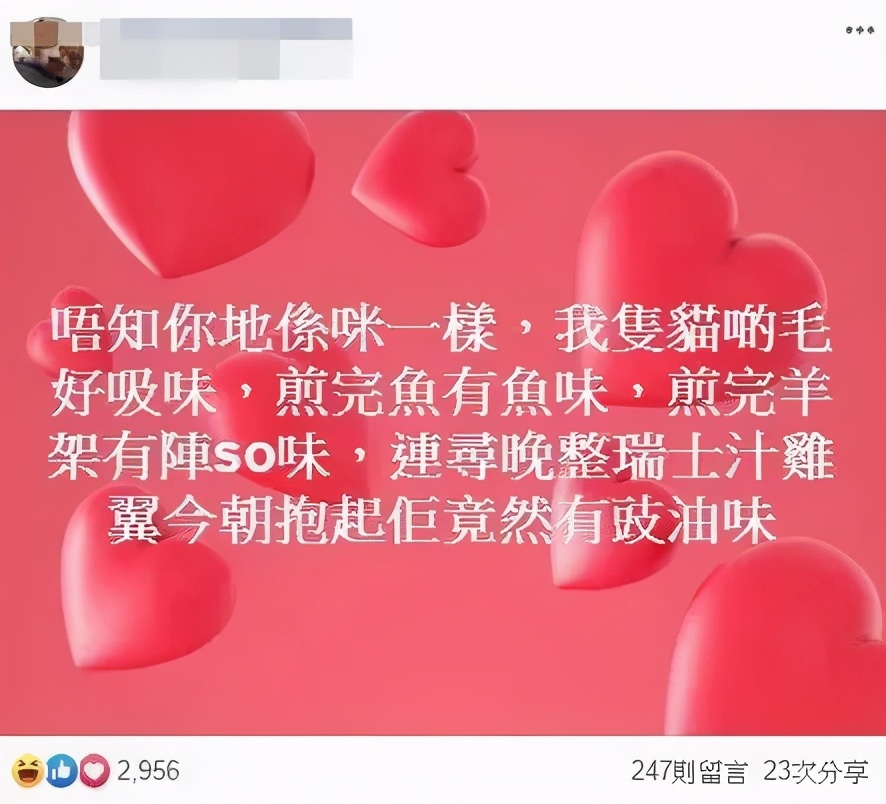 “我半夜不小心摸了猫的肛门腺，被臭到当场裂开！”