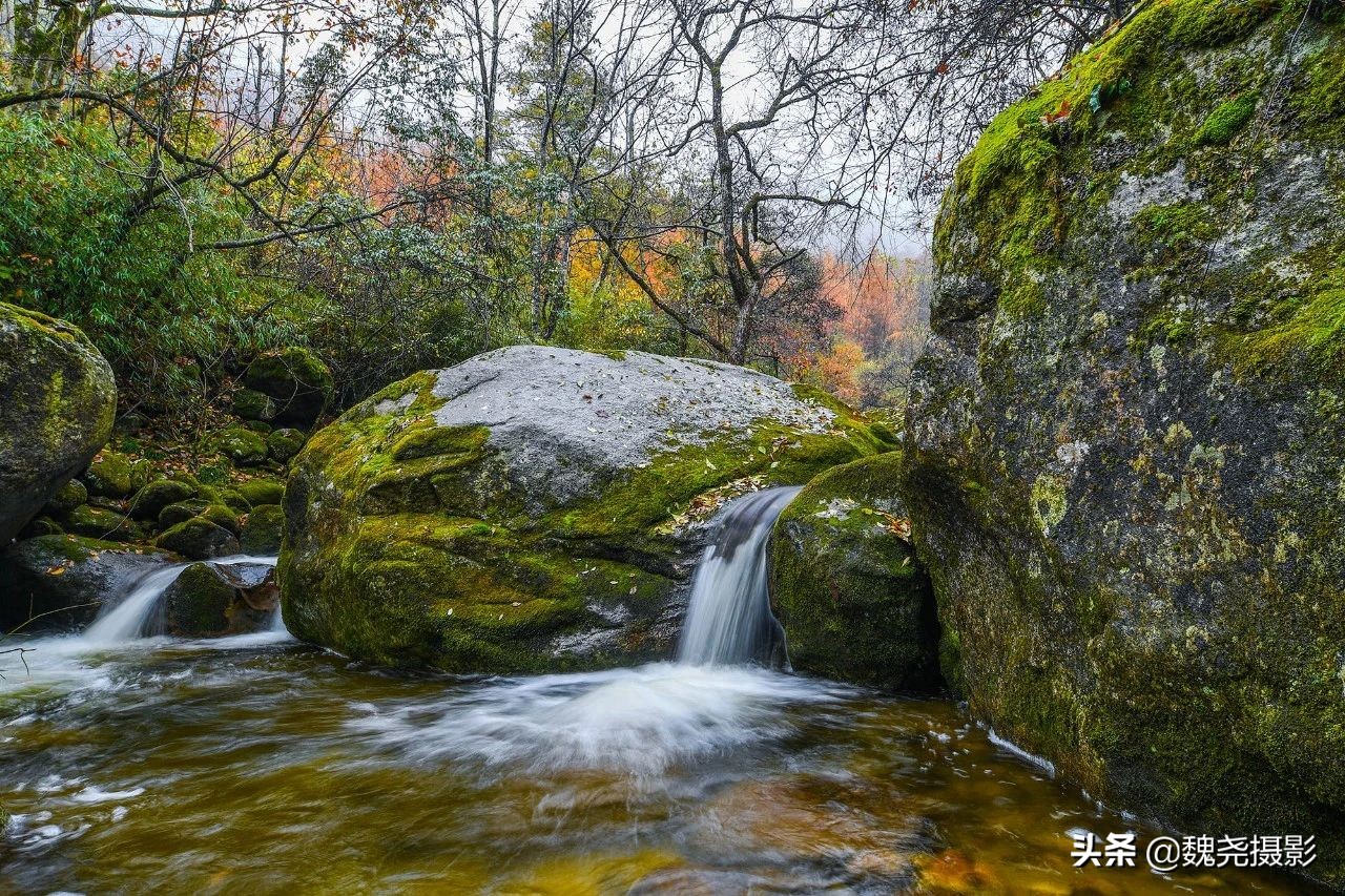 留坝秦岭之夜,留坝秦岭森林公园