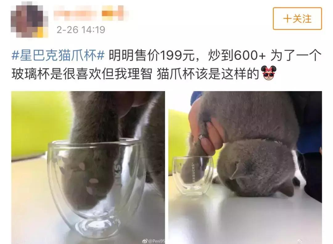 一只猫爪杯,让平静的江湖又掀起了一阵腥风血雨