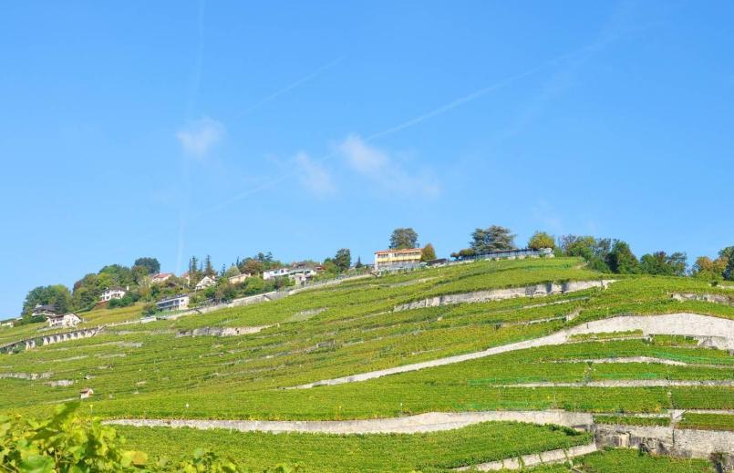 80后女生的创业之路视频,80后农村女孩创业