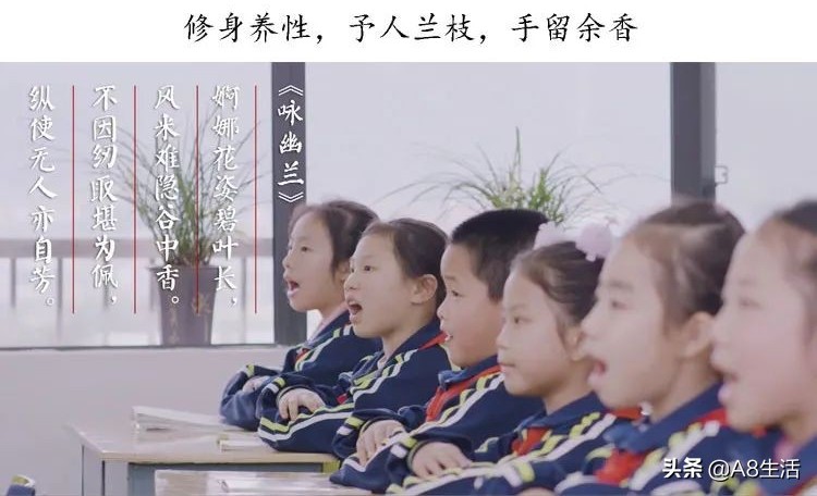 每日一品～中国兰花～春兰茗品～美芬荷