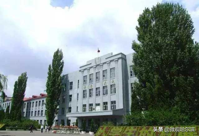 哈尔滨最好的5所大学,2010年哈尔滨考清华名单