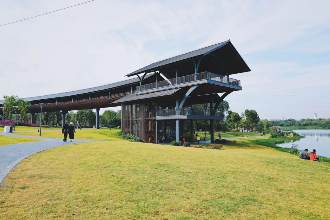 成都周末遛娃游推荐,遛狗公园成都