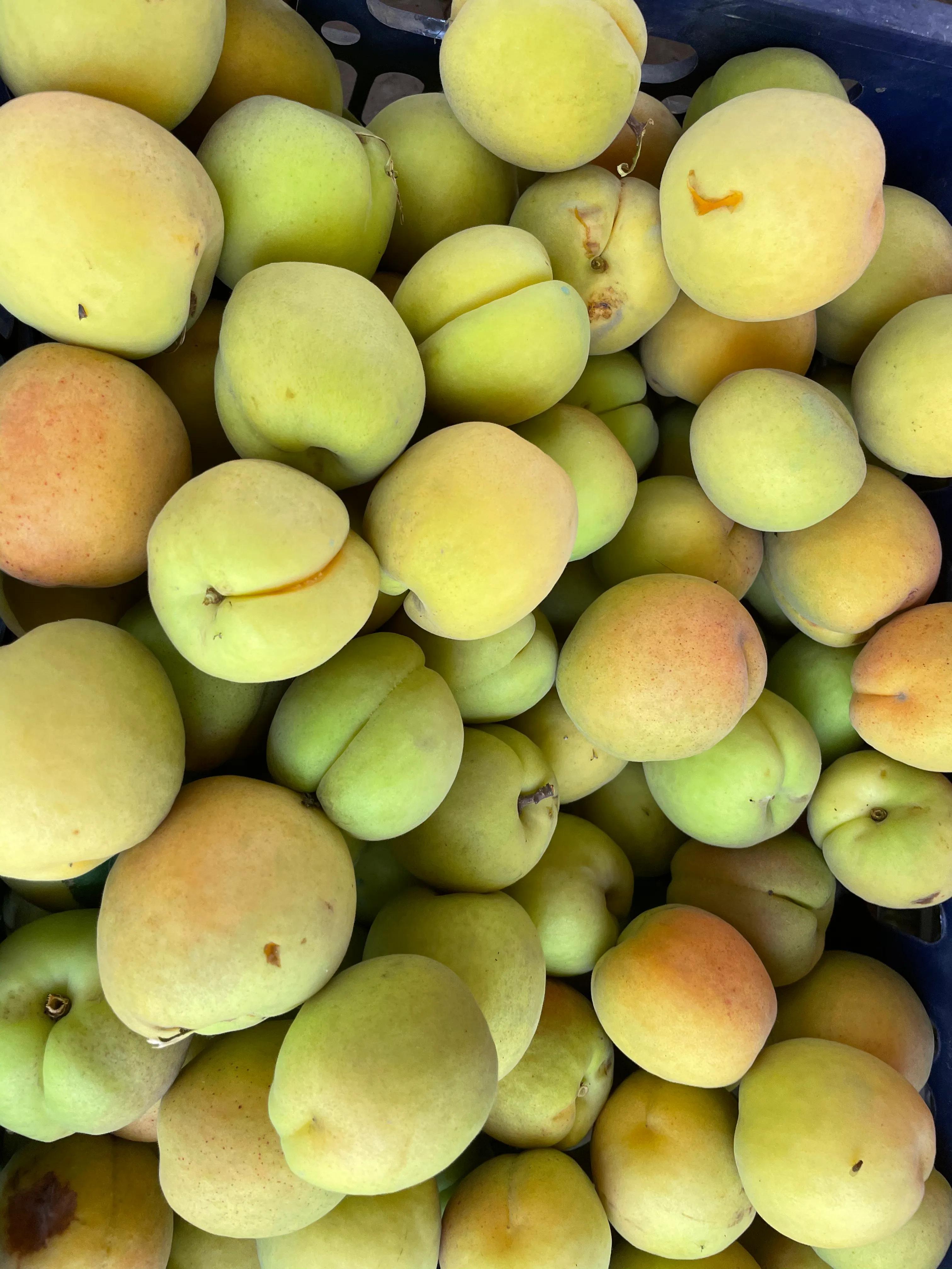 杏子核的营养价值,杏子降血压