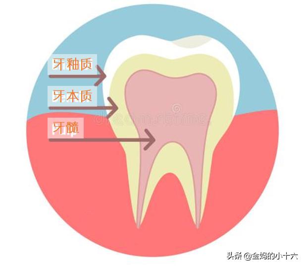 用了舒客牙膏牙齿对冷热敏感,牙齿脆弱敏感哪款牙膏好一些