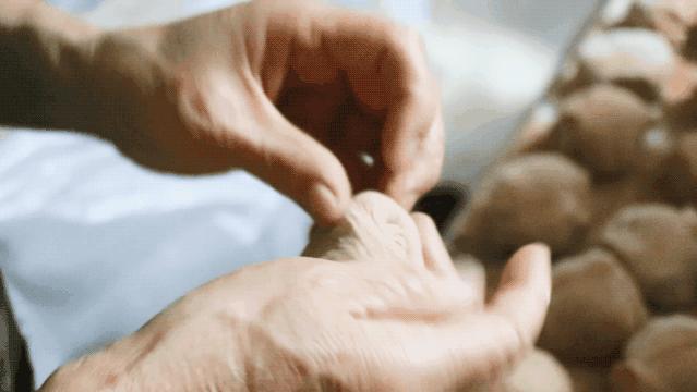 宁波食客，为了吃到它！“买它才6元，跑腿花了20元！！”