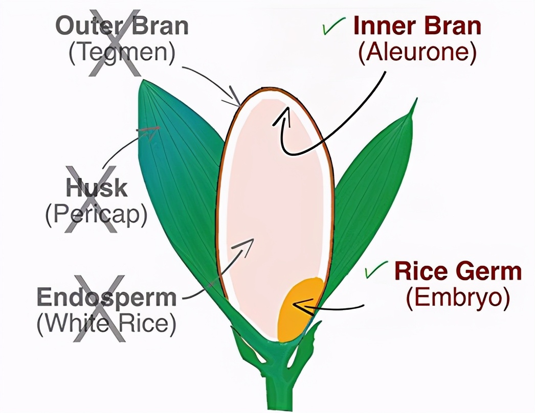 院线专用软膜粉排行榜,院线软膜价格