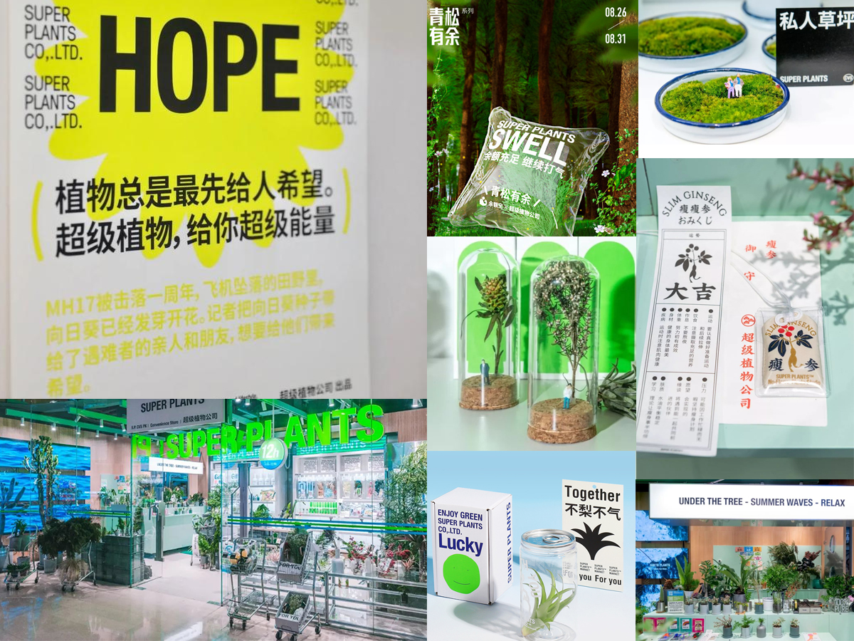 万字解析▏中国新果饮的未来,要披荆斩棘还是乘风破浪?(上)