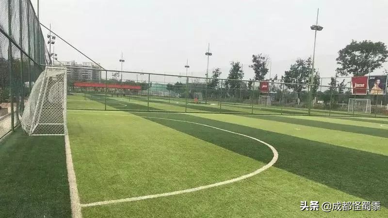 成都室内大型运动场地,周末可以打羽毛球的场子