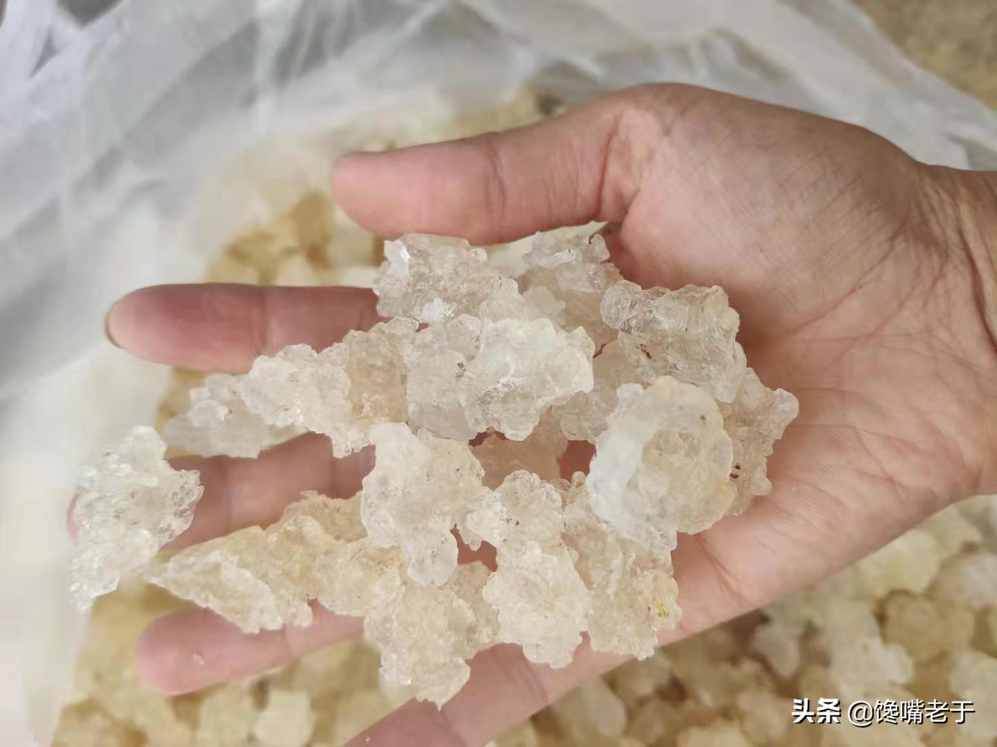 三伏天燕窝爆单,秋季燕窝食谱每天一碗喝出好气色