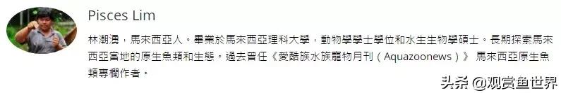 寻找黑暗世界的女神──帕斯风斗鱼