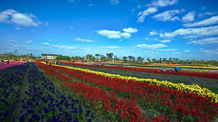上海周浦小上海新城怎么样,周浦小上海怎么走