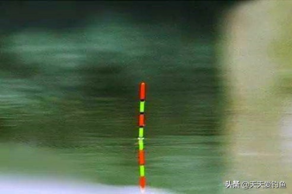 钓鱼浮漂的调钓技巧,浮漂怎么看中鱼率最好