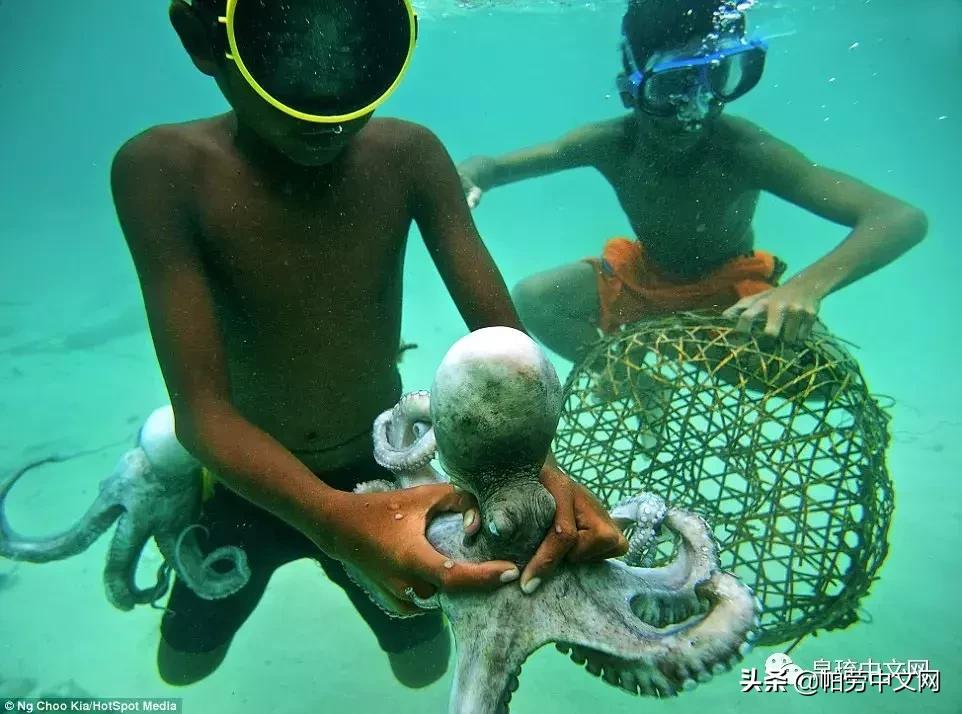 帕劳世界最美的海洋,加勒比海哪个国家景色好