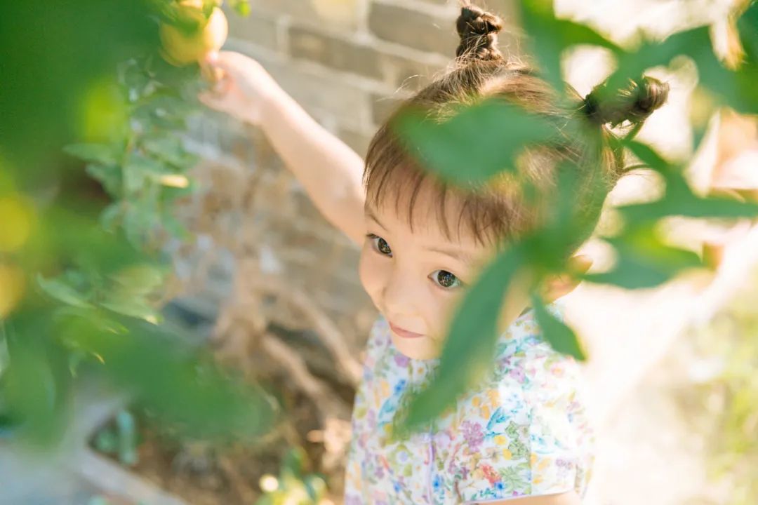 閮戝寳鍙ら晣灏忛櫌,閮戝寳涓紡灏忛櫌