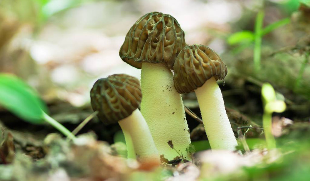 2个月减30斤的秘籍都在这里了,4个月瘦50斤减肥餐