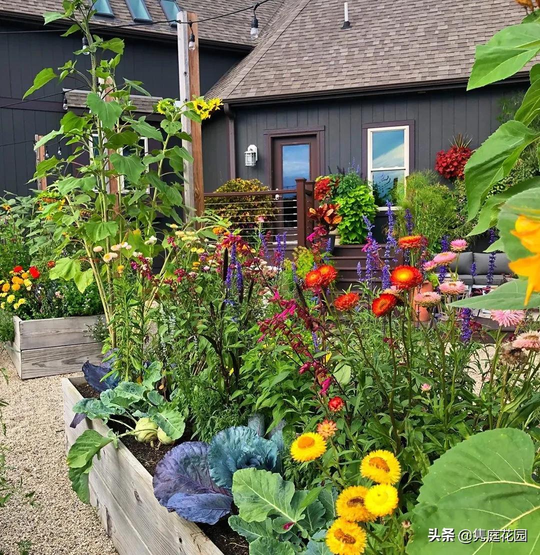 丰富又有趣的花园,花园是最能带给你身心愉悦的地方