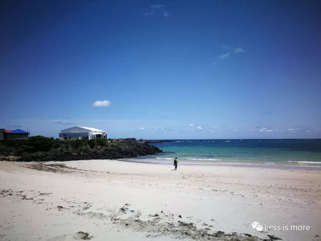 济州岛夜市推荐,韩国济州岛橘园咖啡馆在哪里