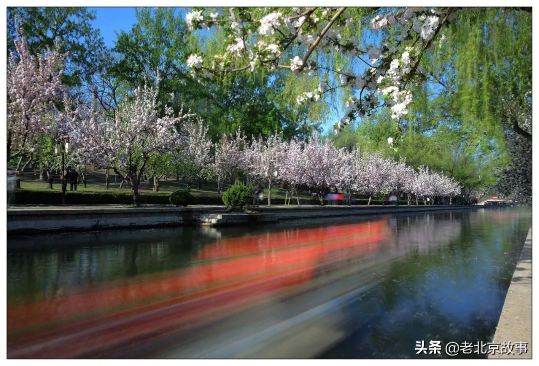 住在朝阳区有什么好处 (住在朝阳区好还是海淀区好)