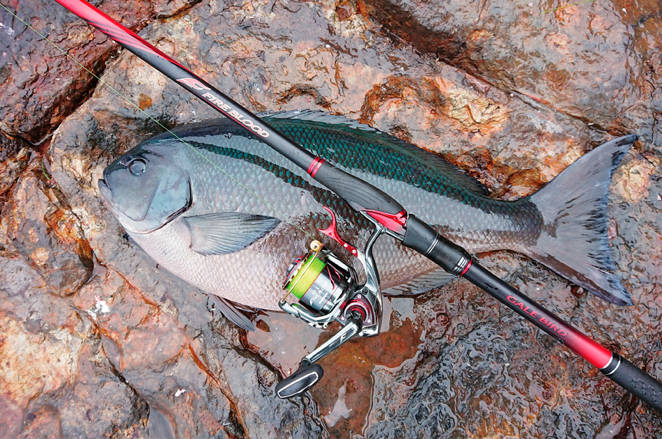 新手选什么价位的矶钓竿,新手选矶钓竿2.7还是3.6