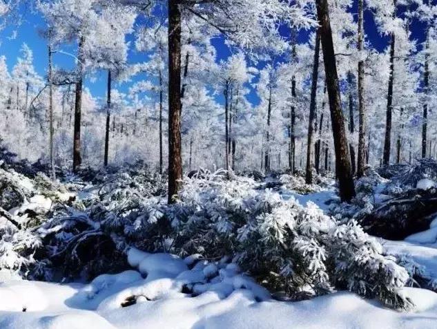 雾凇之美宛若仙境,连云港花果山雾凇美得像仙境