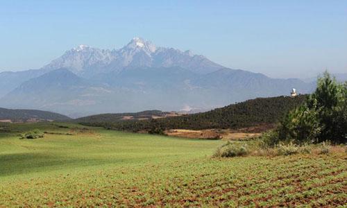 玛咖怎么吃效果更好,玛卡咋样吃呀