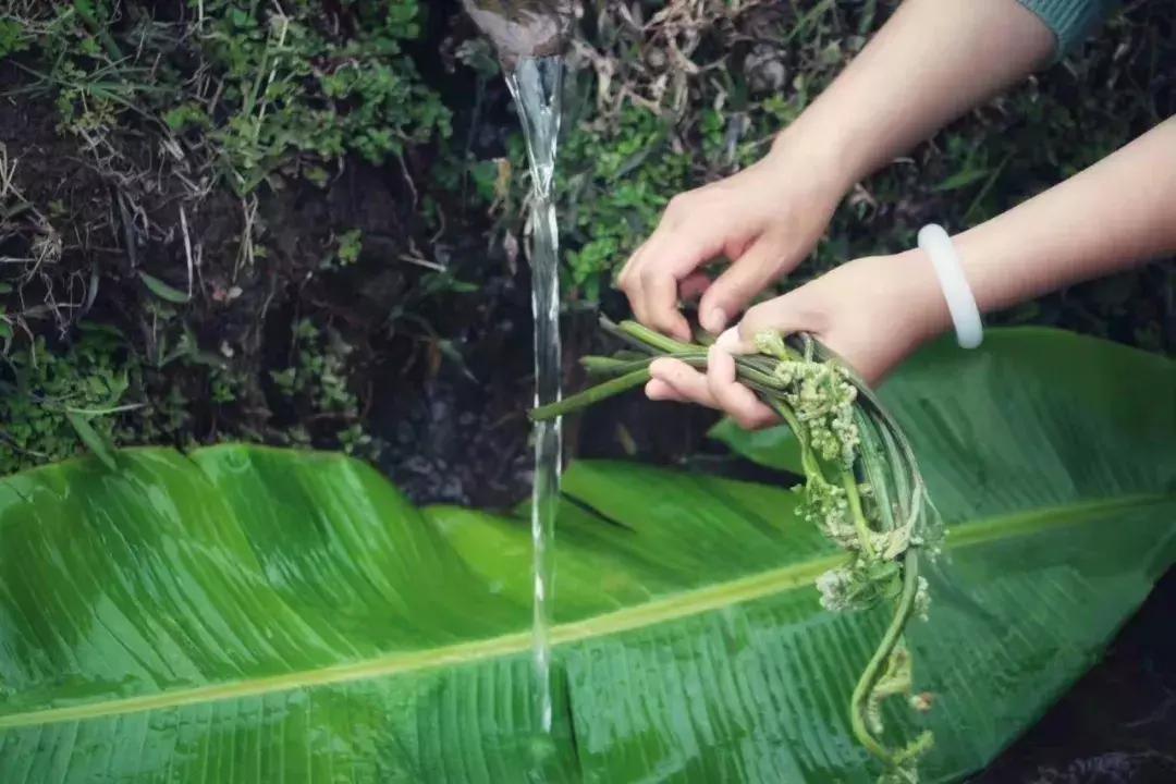 腾冲可以玩可以吃环境好的农家乐,腾冲花海美食