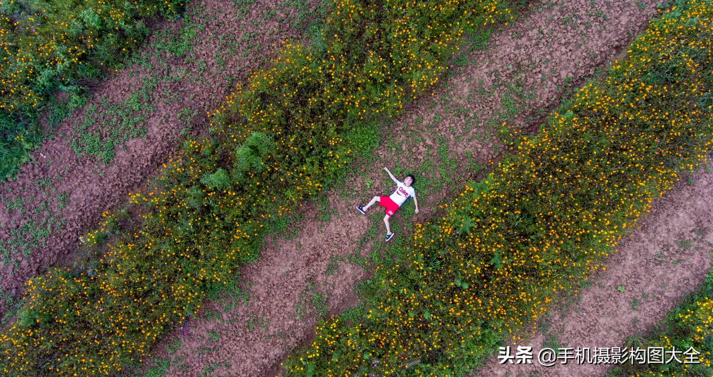 手机摄影42个技巧,手机摄影入门拍出美照超简单