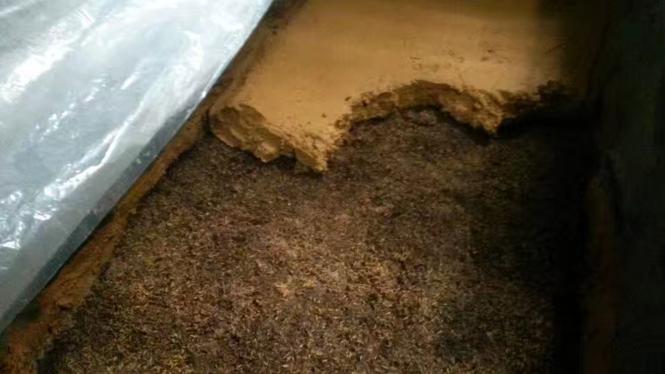 酒窖的设计建造,酒窖怎么打造