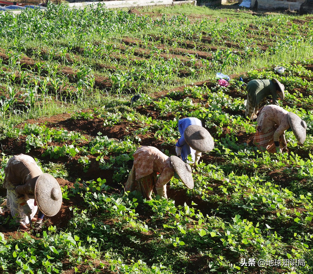印尼在亚洲的实力排名,印尼有几亿人