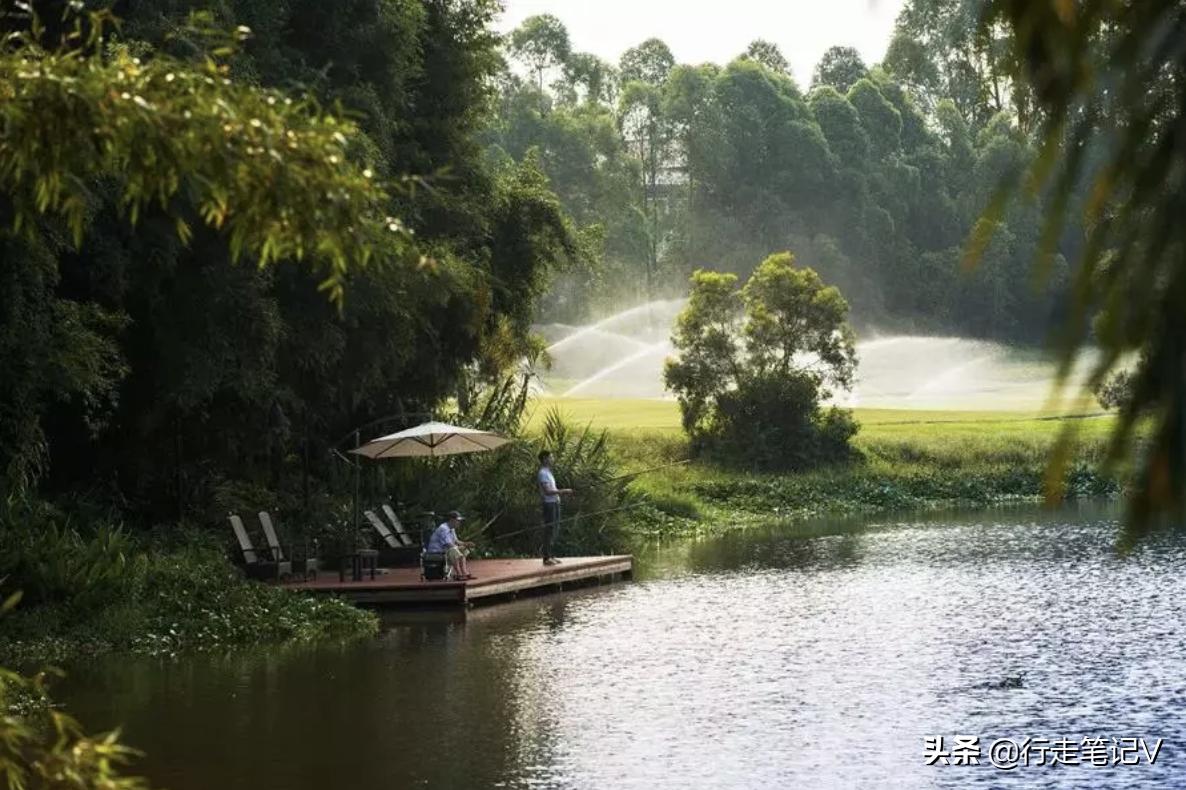 就连白鹭都中意的顶级度假村，不输巴厘岛的惠州候鸟，全家轻奢游