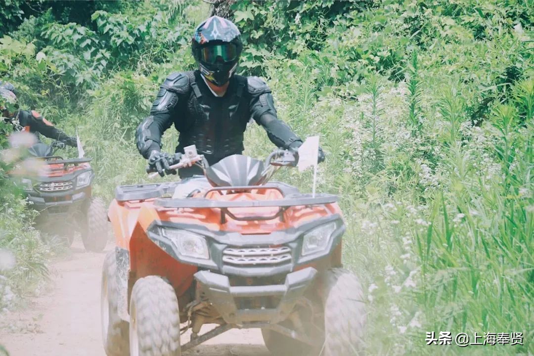 奉贤五一游玩打卡的地方,奉贤休闲度假游玩攻略