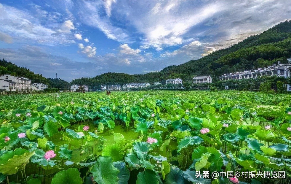 乡村振兴产业方面存在的问题,乡村数字化建设赋能产业振兴