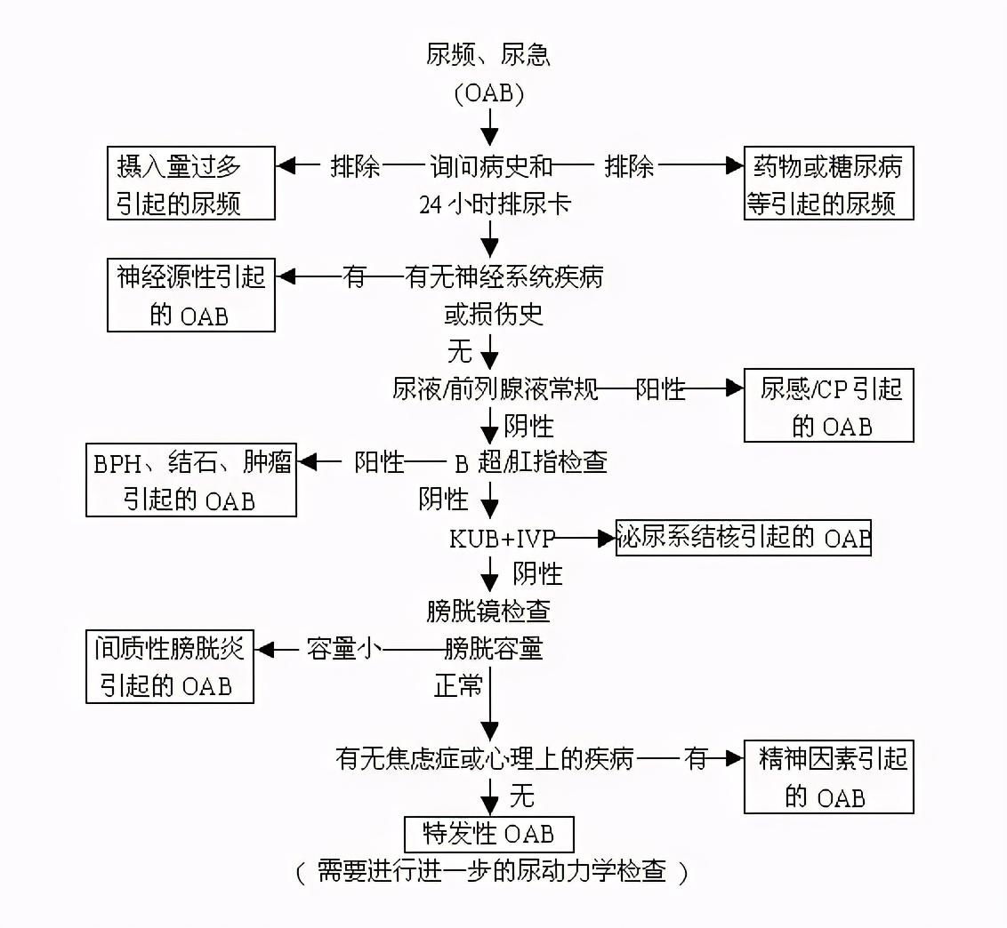 膀胱脱垂引起尿频尿急,小腹胀尿频尿急膀胱疼