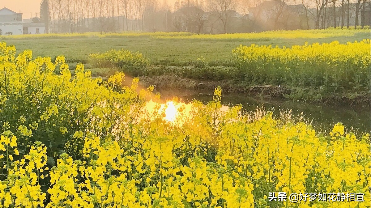 等不到烟花三月下扬州,烟花三月下扬州全诗