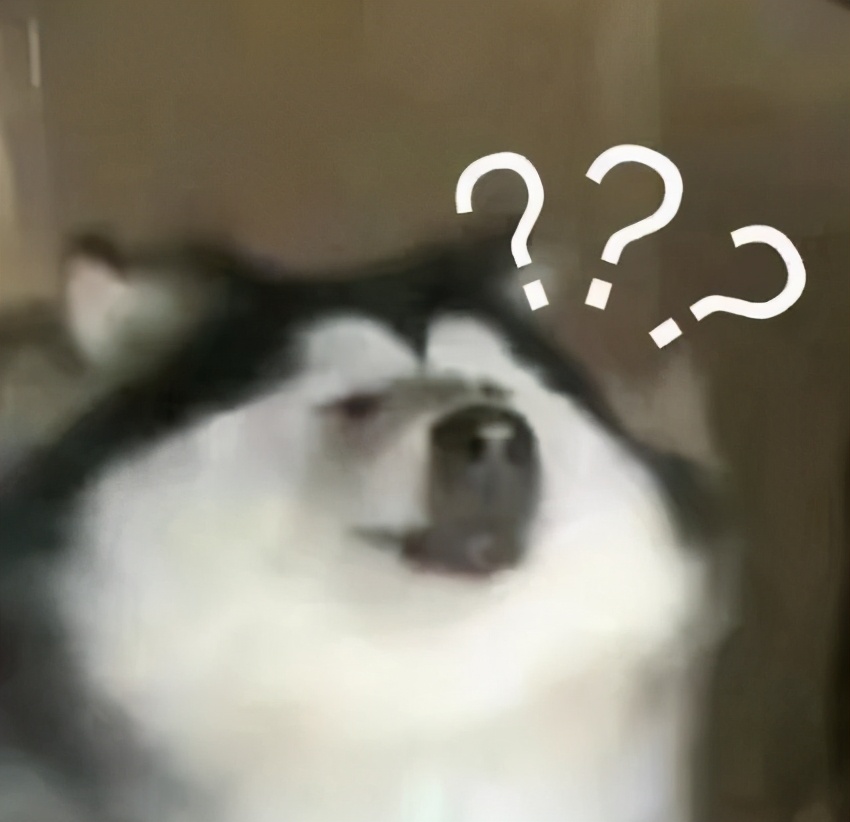 老外都爱来中国买手机壳？看完我笑吐了：谢谢外国友人提供致富路