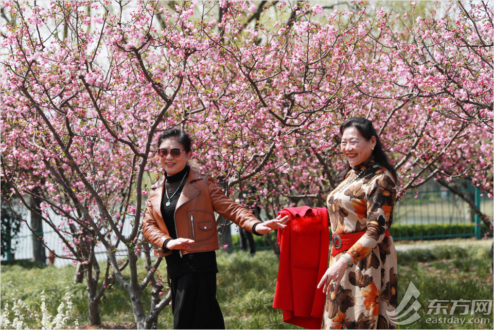 黄兴公园四季特色,黄兴公园美景