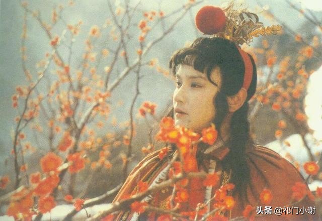 宝玉写的偈子是什么意思,宝玉的意思