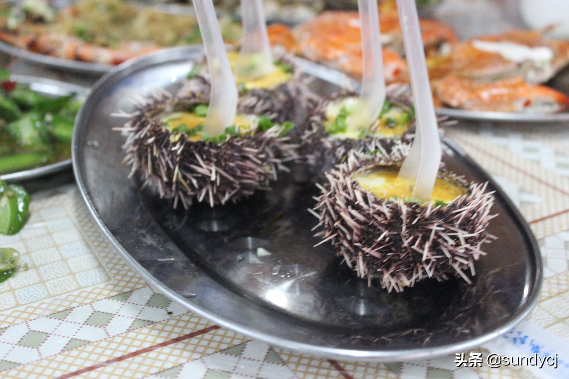 小奔奔,长安新能源奔奔自驾游西藏